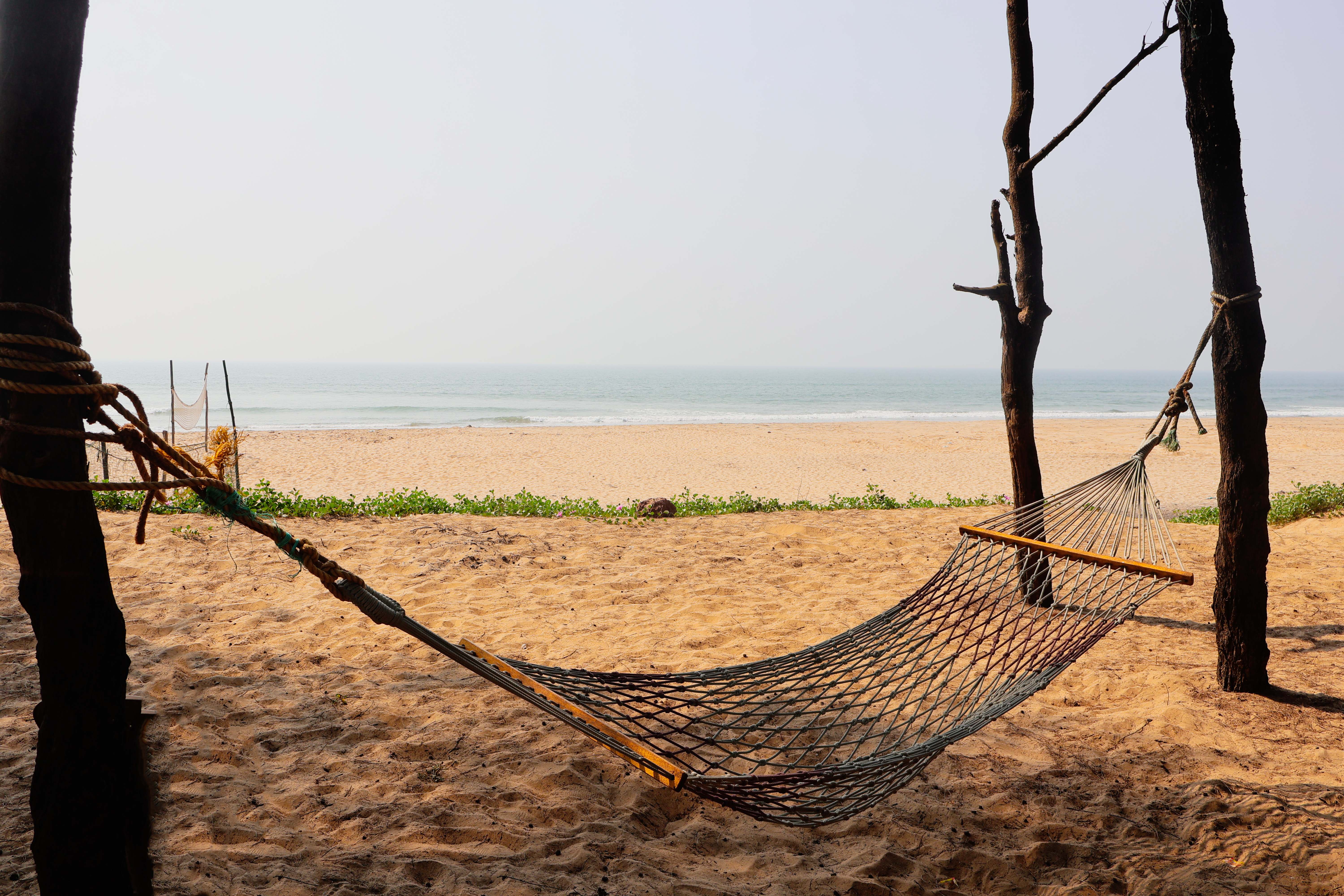Hammock on Beach